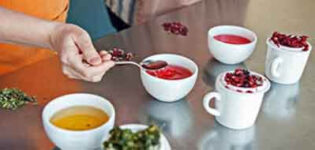 Tea Garden Tour & Tea Tasting