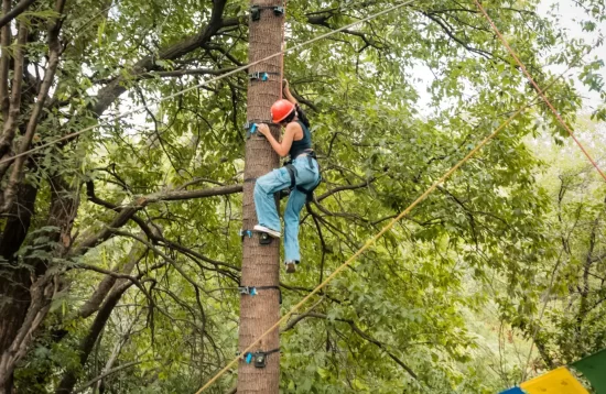 Ape climb adventure activities in palampur