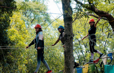 Tea Top Adventure in Palampur