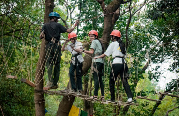 Tea Top Adventure in Palampur at Himalayan Adrenaline