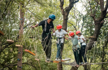 Tea Top Adventure in Palampur at Himalayan Adrenaline