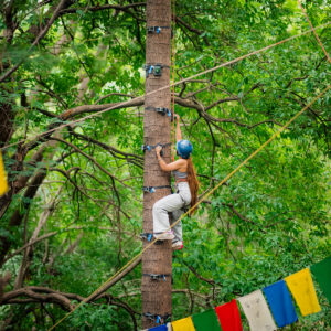 Ape Climb Activity Best Activity to do in Palampur