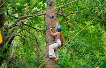 Ape Climb Activity Best Activity to do in Palampur