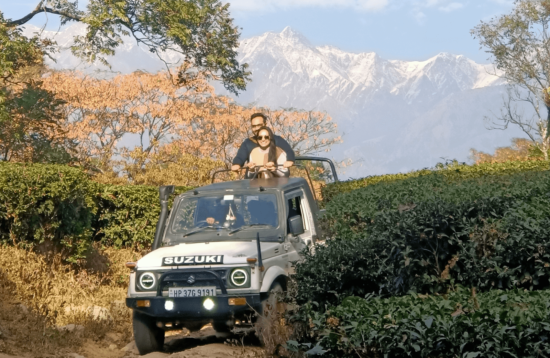 8 Best Things to Do in Palampur - Jeep Safari