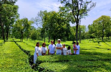 Tea Garden Tour