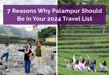 7 Reasons Why Palampur Should Be in Your 2024 Travel List