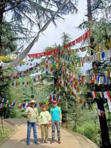 Best place to visit in 2024 - Palampur - Kora Walk