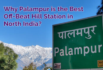 Why Palampur is the Best Off-Beat Hill Station in North India