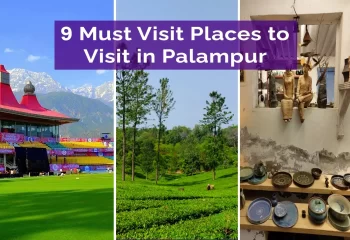 9 Must Visit Places to Visit in Palampur