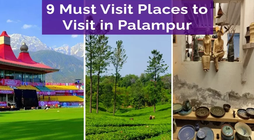 9 Must Visit Places to Visit in Palampur