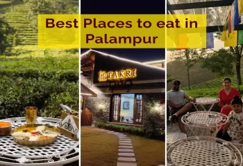 Best Places to Eat in Palampur