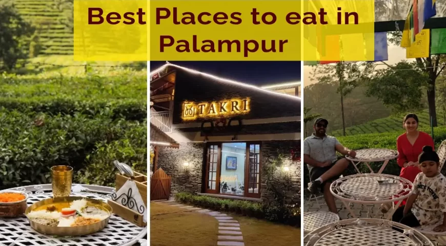 Best Places to Eat in Palampur