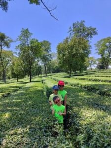 Kids in Tea Garden Palampur