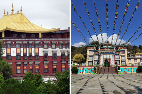 Monastry near Palampur