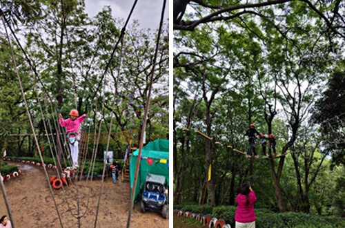 Tea Top Adventures for Kids in Palampur