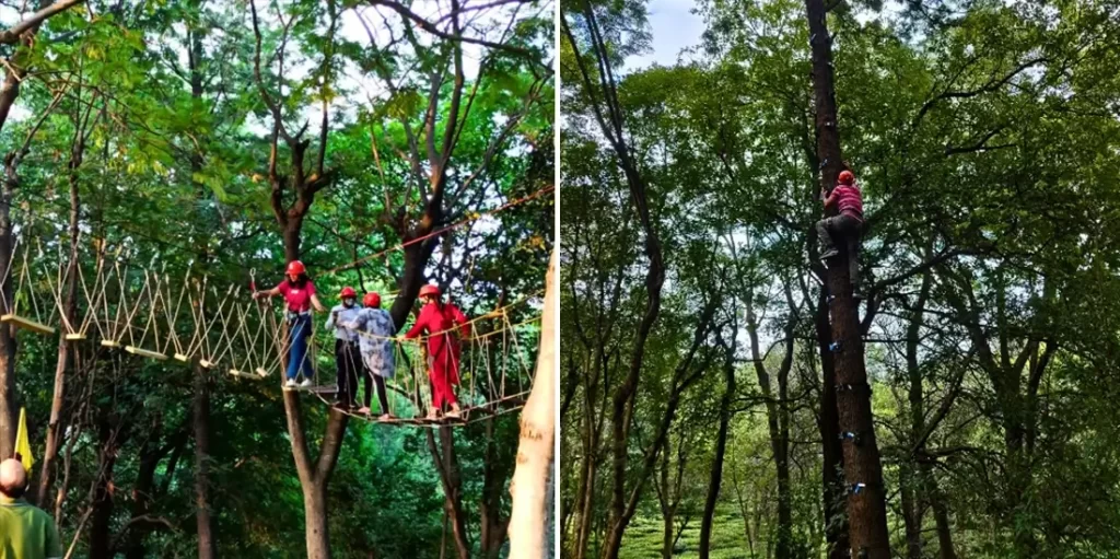 Activities To Do in Kangra Valley in 2024 - Tree Top and Ape Climb Adventure Activities in Palampur