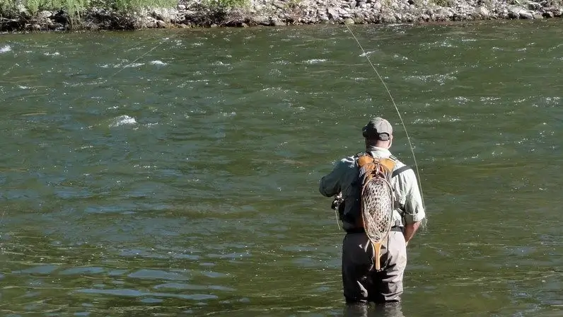 Angling in Pong Dam Lake and Barot Valley