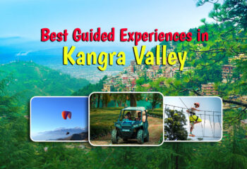 Best Guided Experiences in Kangra Valley 2