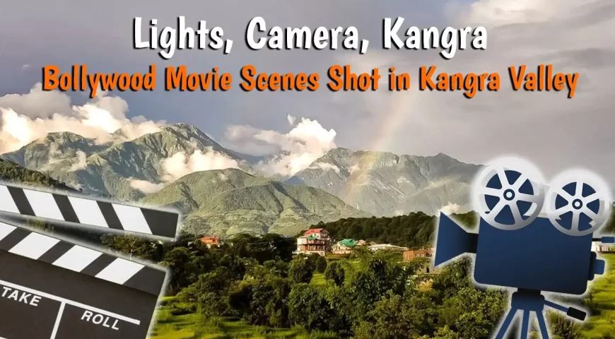 Lights, Camera, Kangra