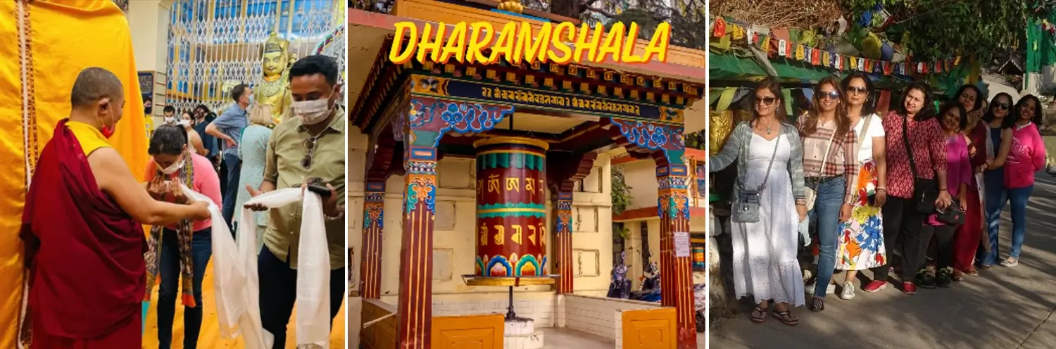 Things to do in Dharamshala & Palampur - Dharamshala