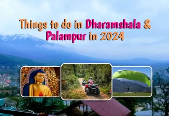 Things to do in Dharamshala & Palampur in 2024