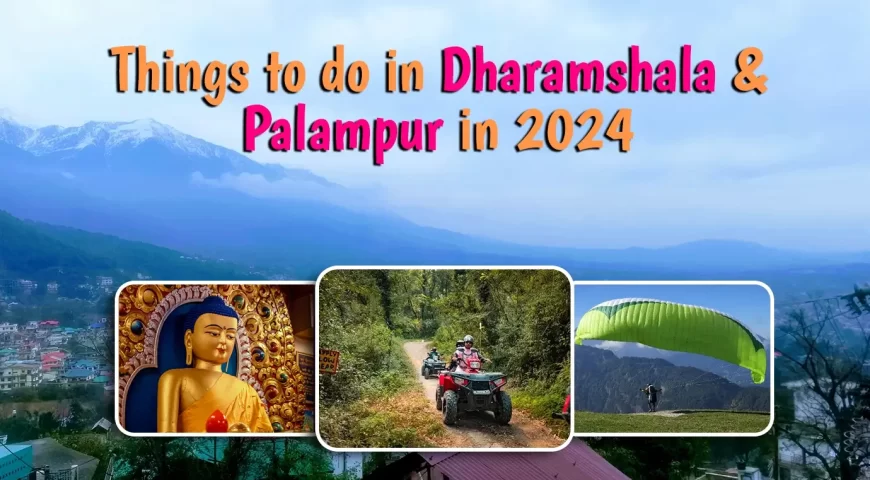 Things to do in Dharamshala & Palampur in 2024