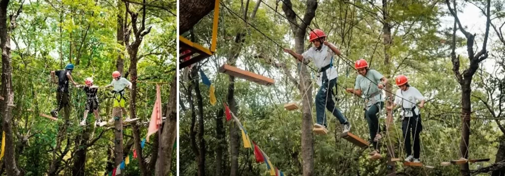 Things to do in Dharamshala & Palampur - Tree Top Adventure Activities