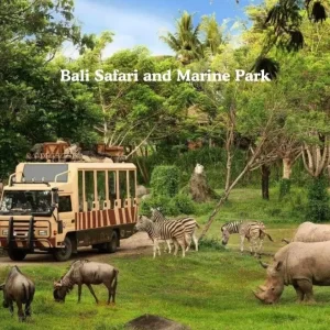 Bali Safari and Marine Park - Bali Holiday Package