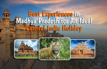 Best Experiences in Madhya Pradesh for An Ideal Central India Holiday