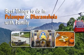 Best Things to do in Palampur & Dharamshala with Family