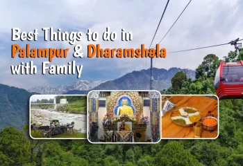 Best Things to do in Palampur & Dharamshala with Family