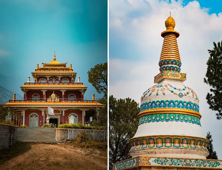 Dorzong Monastic Institute