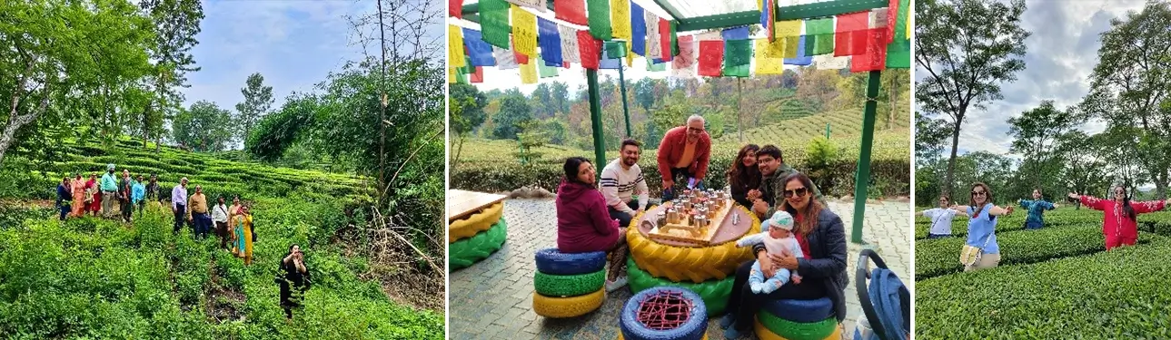 Guided Tea Garden Walking Tour with Tea Tasting in Palampur - Best Experiences in Himachal Pradesh