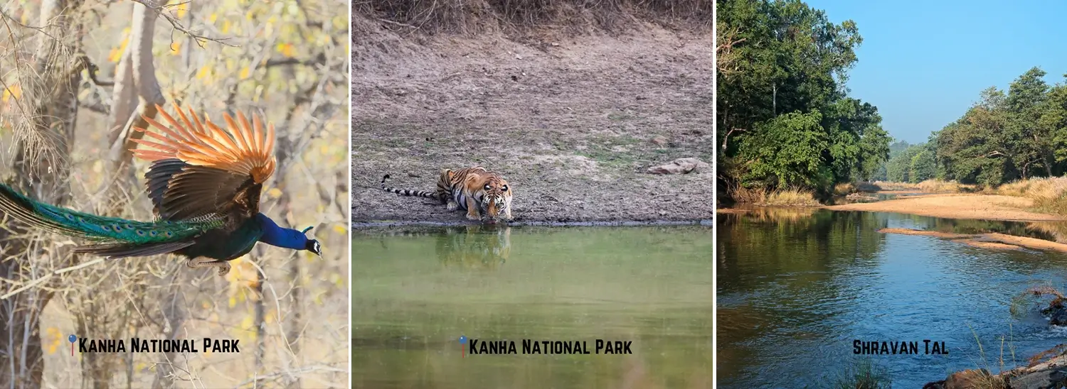 Kanha National Park