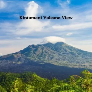 Kintamani Volcano View - Bali Adventure Tour