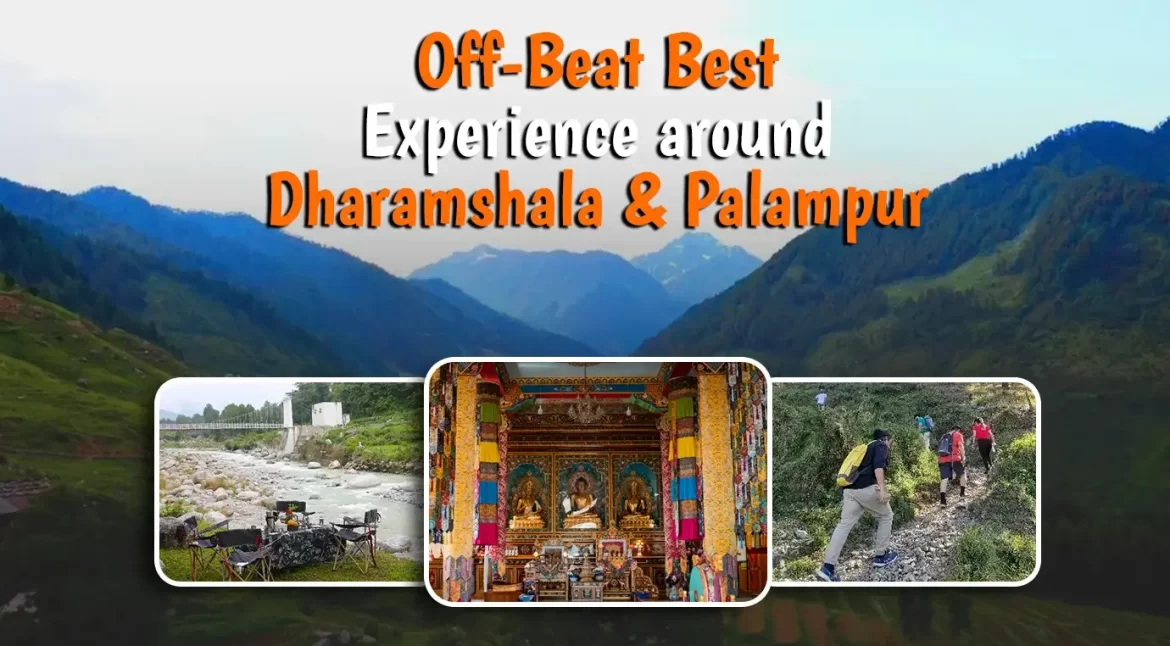 Off-Beat Best Experiemces around Palampur and Dharamshala