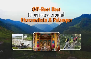 Off-Beat Best Experiemces around Palampur and Dharamshala