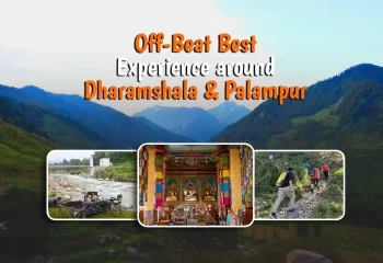 Off-Beat Best Experiemces around Palampur and Dharamshala