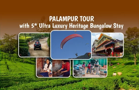 Palampur Tour