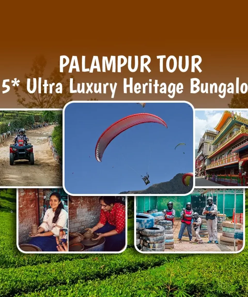 Palampur Tour