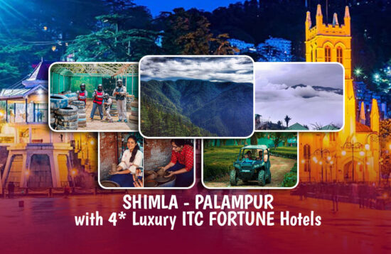 Shimla Palampur Tour