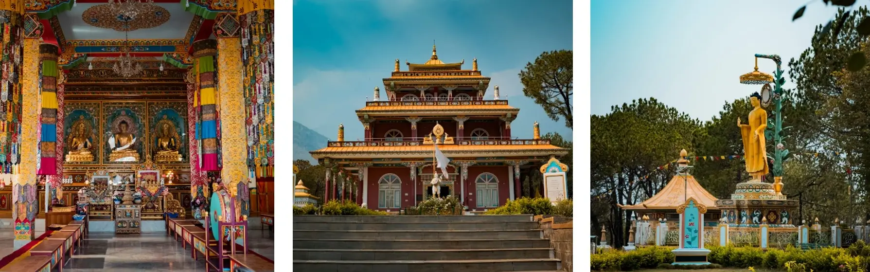 Dorzong Monastery - Best Experiences around Dharamshala