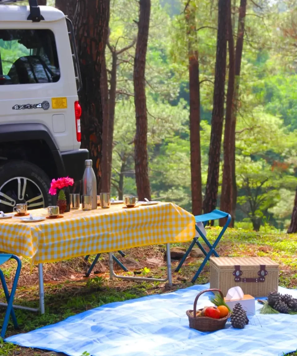 Forest Picnic