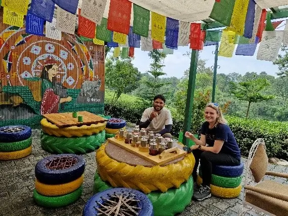 Tea Tasting Session - Best Experiences around Dharamshala