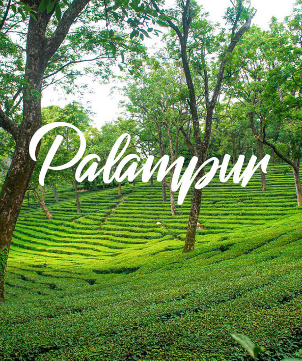 Palmapur Tour