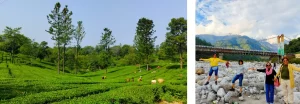 Palampur - Weekend Getaways from Delhi 