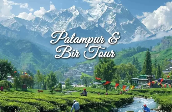 Palampur and Bir Tour