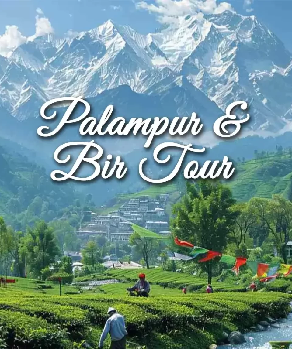 Palampur and Bir Tour