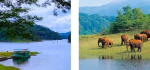 Thekkady kerala