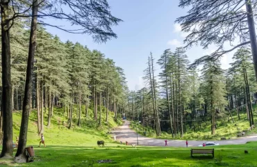 patnitop